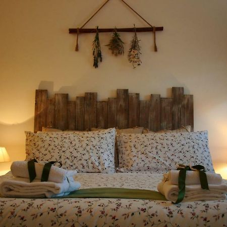 Pepe Guest House Ρώμη Εξωτερικό φωτογραφία