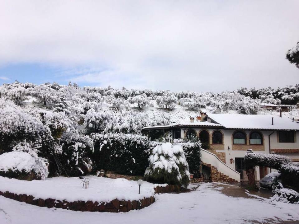 Pepe Guest House Ρώμη Εξωτερικό φωτογραφία