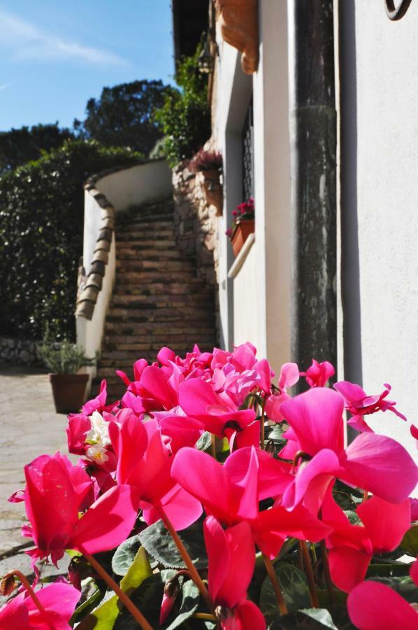 Pepe Guest House Ρώμη Εξωτερικό φωτογραφία