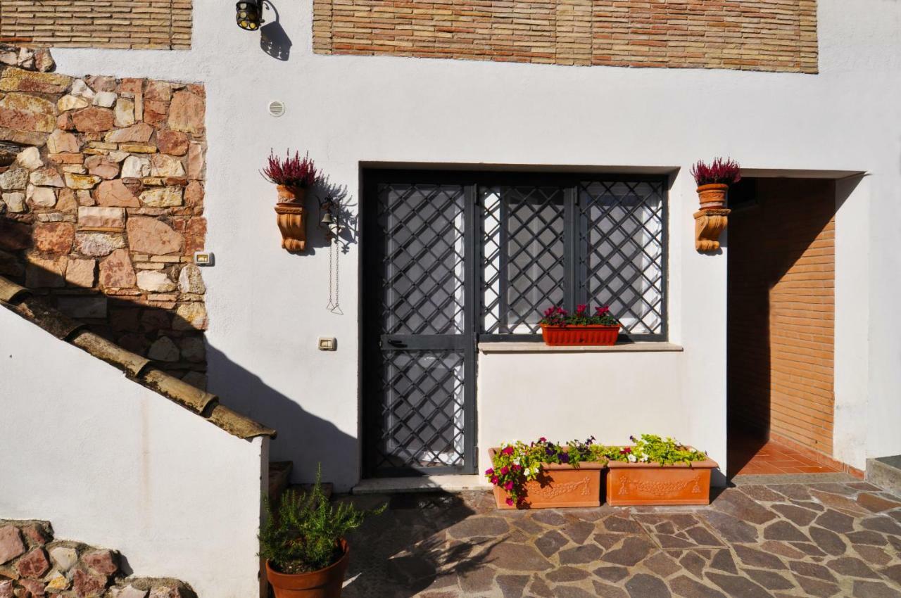 Pepe Guest House Ρώμη Εξωτερικό φωτογραφία
